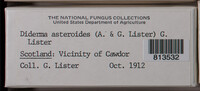 Image Associated With the Occurence